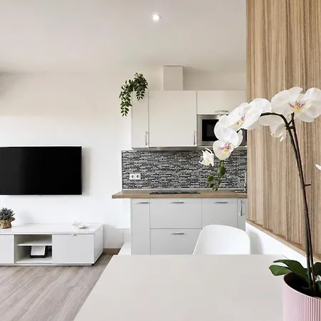 Apartament Flor De Morro