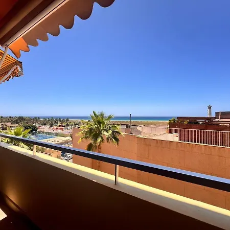 Flor De Morro Morro Jable (Fuerteventura)